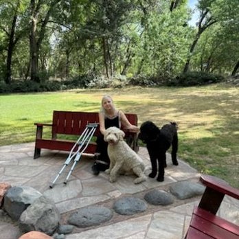 Sit Means Sit Dog Training - The star pupil practing his training skills. - Pet Training Near Me - Modesto, California Sit Means Sit Dog Training - The star pupil practing his training skills. - Pet Training Near Me - Modesto, California