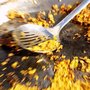 Photo of Paella Party Catering