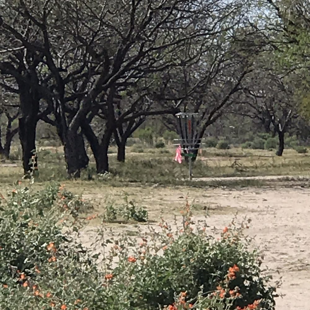 Rillito River Park Disc Golf Course - #12 - Disc Golf Near Me - Tucson, Arizona Rillito River Park Disc Golf Course - #12 - Disc Golf Near Me - Tucson, Arizona