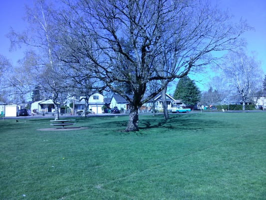 Glenwood Park by null