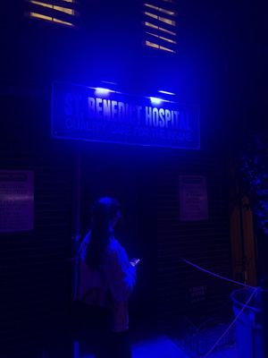 Bayville Adventure Park by null