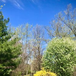 The Growth Center for Counseling and Wellness - The peaceful grounds add to the serenity of The Growth Center