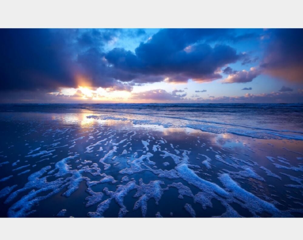 TLC PROFESSIONAL MASSAGE THERAPIST 10892 Kim Van Day Spa, Garden