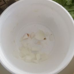 The onions that were provided to me. Ouch. The onions that were provided to me. Ouch.