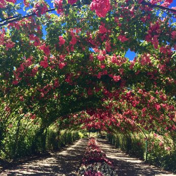 Point Defiance Park - Parks Near Me - Tacoma, Washington Point Defiance Park - Parks Near Me - Tacoma, Washington