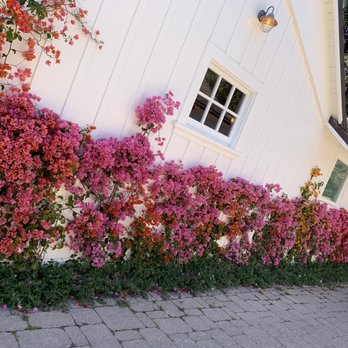 San Ysidro Ranch - Hotels Near Me - Montecito, California San Ysidro Ranch - Hotels Near Me - Montecito, California