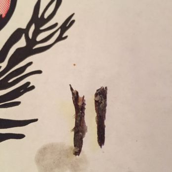 Milano Pizza - Unidentifiable wood pieces 1" long each in my pizza - Pizza Near Me - Austin, Texas Milano Pizza - Unidentifiable wood pieces 1" long each in my pizza - Pizza Near Me - Austin, Texas