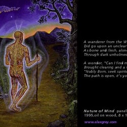 Psychic Medium & Spiritual Life Coach - Nature of Mind, Alex Grey
