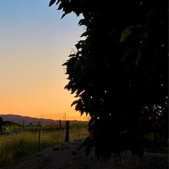 Z Ranch - View from the bunkhouse front door at sunset. - Vacation Rentals Near Me - Templeton, California Z Ranch - View from the bunkhouse front door at sunset. - Vacation Rentals Near Me - Templeton, California