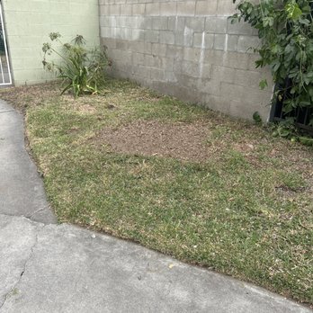 Trujillo Tree Service - After service. - Tree Services Near Me