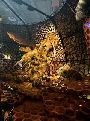 Canadian Museum of Nature / Musée canadien de la nature by null