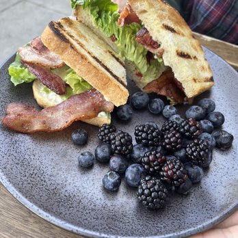 Lost Parrot Cafe - BLAT Breakfast - Breakfast & Brunch Near Me - South Pasadena, California Lost Parrot Cafe - BLAT Breakfast - Breakfast & Brunch Near Me - South Pasadena, California