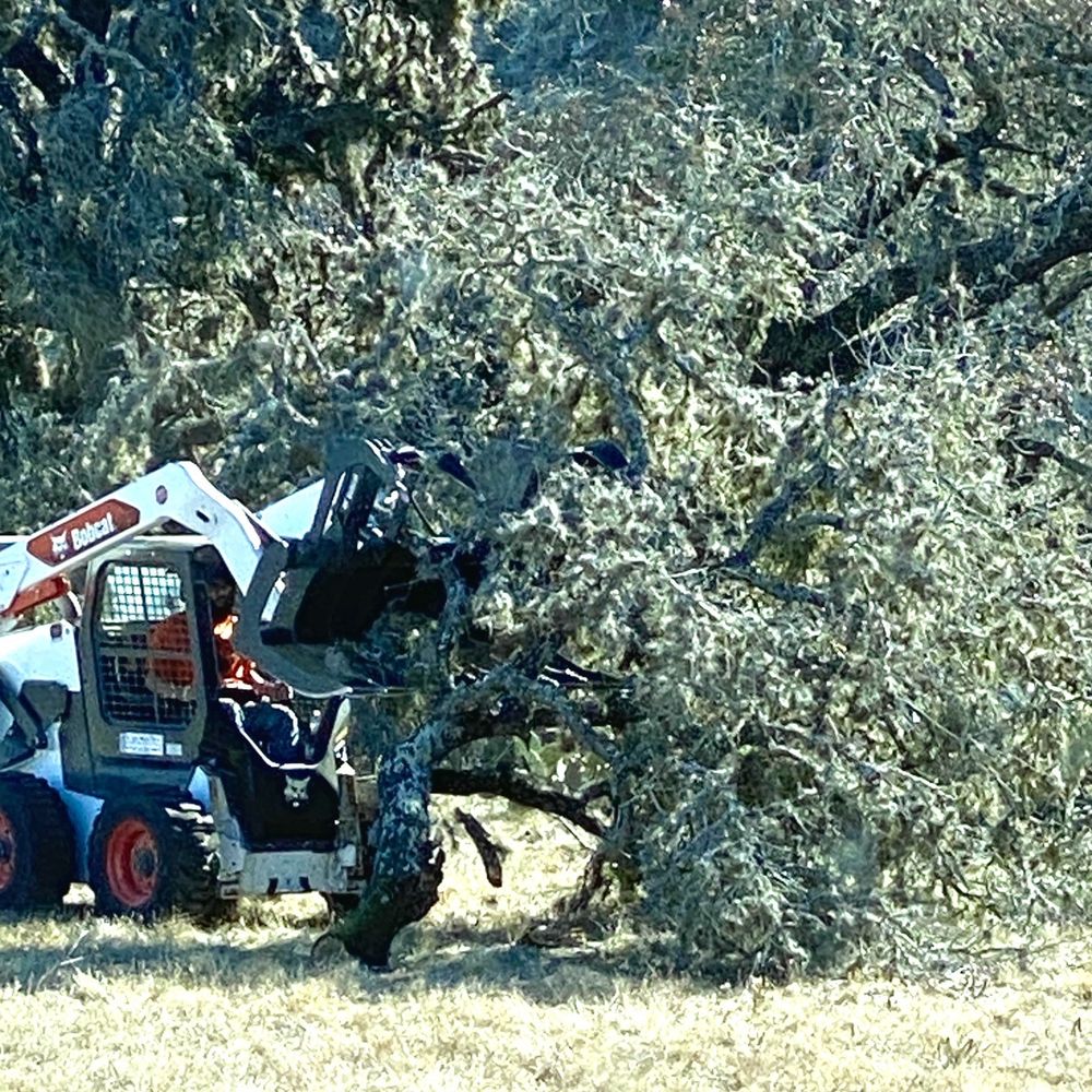Gilbert Tree Service - Tree Services Near Me - Kerrville, Texas