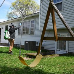 Town and Country Pest Solutions