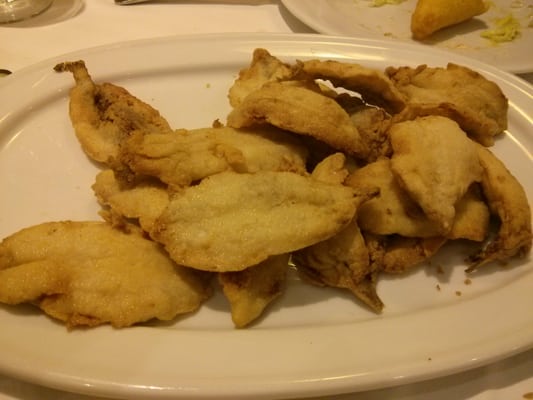 Blanca Paloma by null