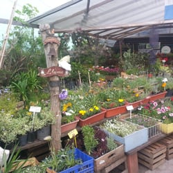 Vivero Mis Raices