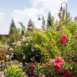 Green Acres Nursery & Supply