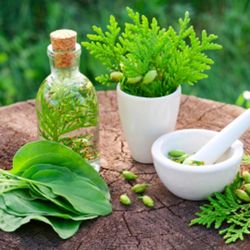 Abundant Living Wellness Center