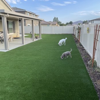 QTC Landscape Construction - Pet turf - Artificial Turf Near Me