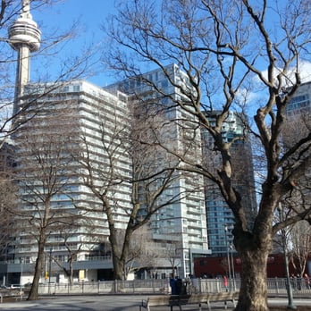 Clarence Square Park - Dog Parks Near Me - Toronto, Ontario