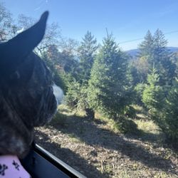 JS Tabacco Ranch