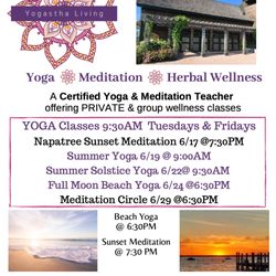 Join Chris for Yoga on Tues & Fri mornings. Other events posted weekly during the summer. yogasthaliving@gmail.com