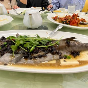 Blooming Vip - Steam black cod fish - Seafood Near Me - Rosemead, California Blooming Vip - Steam black cod fish - Seafood Near Me - Rosemead, California