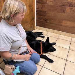 Our dog waiting to be examined by the vet