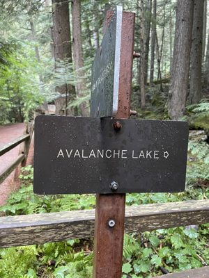 Avalanche Lake by null