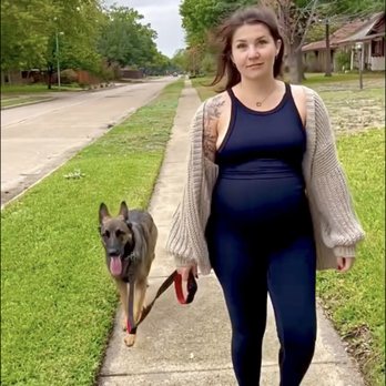 DFW K9 Trainer - Pet Training Near Me DFW K9 Trainer - Pet Training Near Me