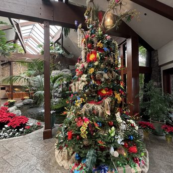 Lava Java - Christmas Tree in the lobby near the coffee shop - Coffee & Tea Near Me - San Diego, California