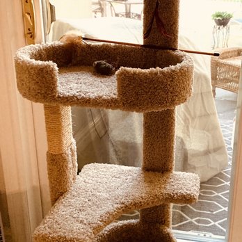 Pet Supplies Plus Southgate - Cat climber, lounger. - Pet Stores Near Me - Southgate, Michigan