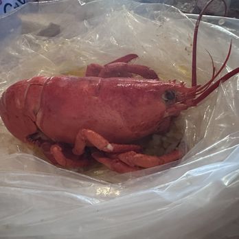 The Boiling Crab - Seafood Near Me - San Diego, California The Boiling Crab - Seafood Near Me - San Diego, California