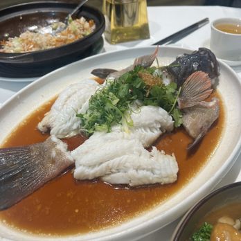 Crystal Jade Restaurant - live steamed trout - Chinese Near Me - Melbourne, VIC