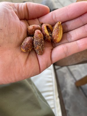 City Peanut Shop by null