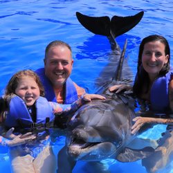 Dolphin Adventure