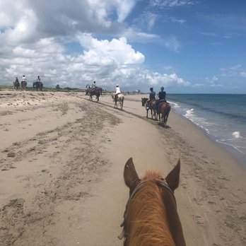 Tours on Horseback - Horseback Riding Near Me - Fort Pierce, Florida Tours on Horseback - Horseback Riding Near Me - Fort Pierce, Florida