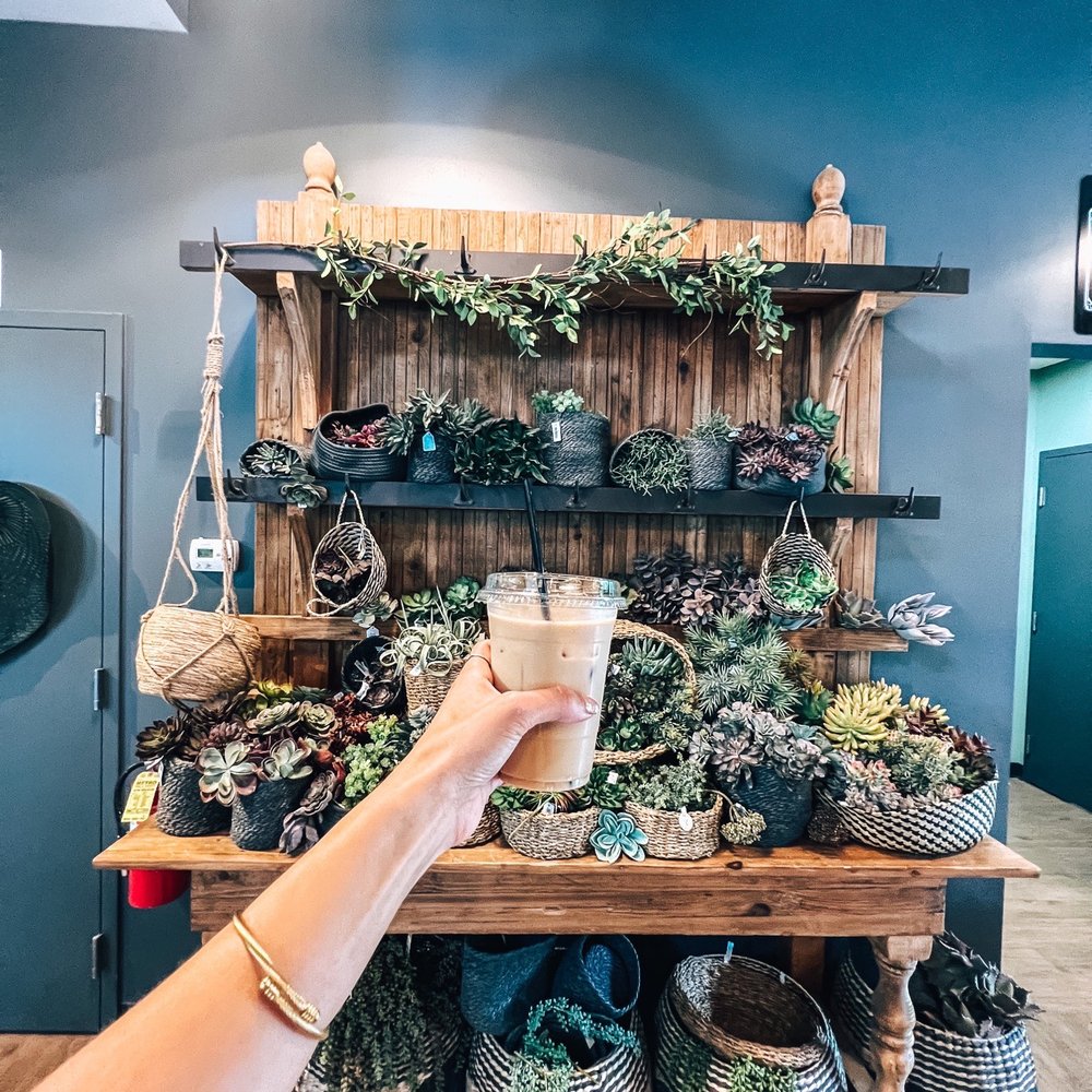 Café Equinox - a person holding a cup of coffee in front of a display of succulents - Home & Garden Near Me - Shawnee, Kansas