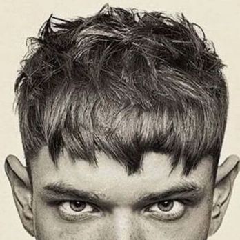 Gent Cuts and Grooming - The photo I gave as reference. - Barbers Near Me - Saint Paul, Minnesota