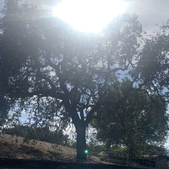 Dovecote Estate Winery - Wineries Near Me - Los Alamos, California