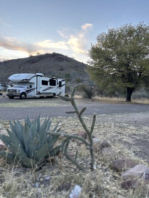 Davis Mountains State Park by null
