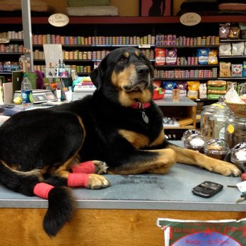 Pet Cottage - Pet Services Near Me - San Anselmo, California Pet Cottage - Pet Services Near Me - San Anselmo, California