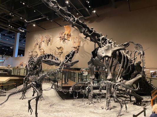 Natural History Museum of Utah by null