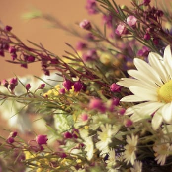 Log House Florist - Florists Near Me - Boone, North Carolina