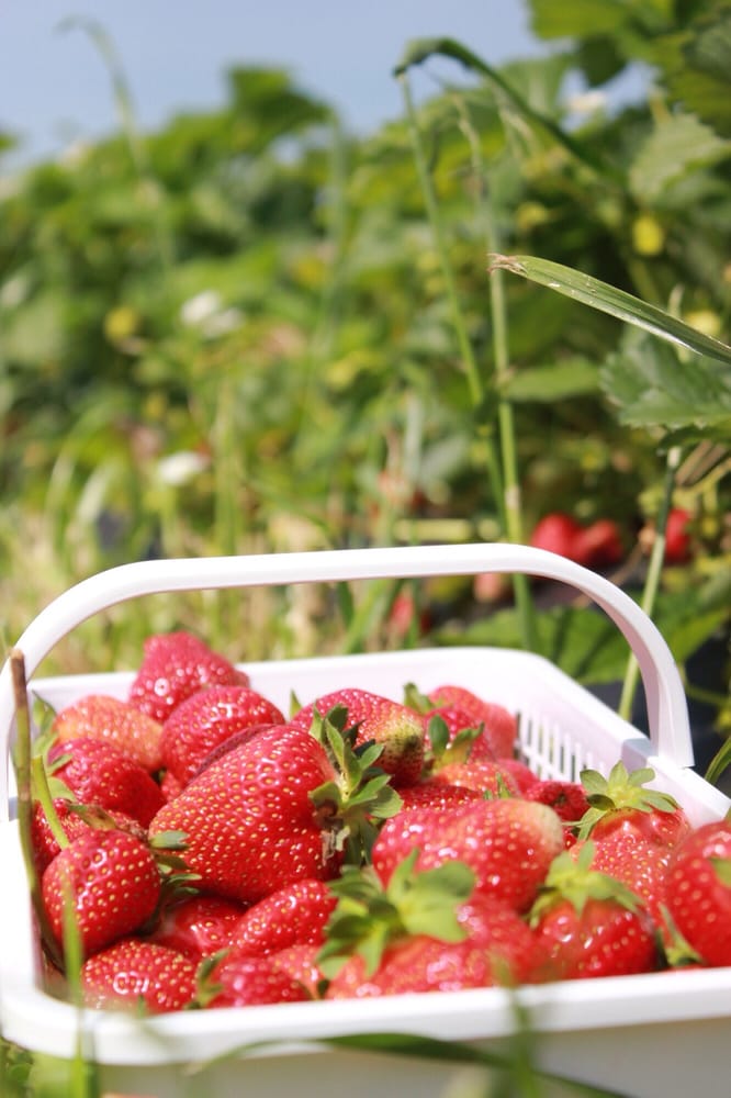 VALLEY HOME FARM Updated September 2024 14 Photos 310 Potts Rd