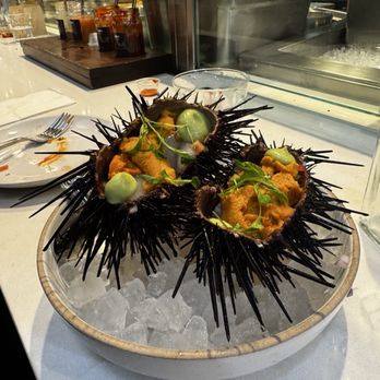 Holbox - Sea Urchin (with Scallop Ceviche) - Latin American Near Me - Los Angeles, California