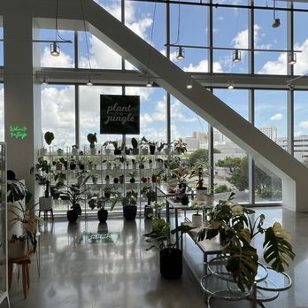 Capsule - Women's Clothing Near Me - Miami, Florida
