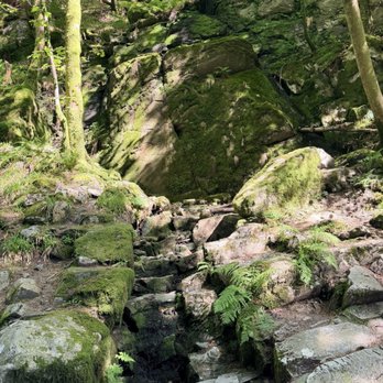 Fløyen utsiktspunkt - Hiking Near Me - Bergen, 12