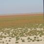 Photo of Parque Nacional y Natural de Doñana