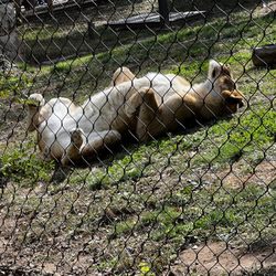 Philadelphia Zoo